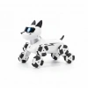 Mey İthalat® SH59964 2.4G UZAK.KUM.AKROBATİK KEDİ KÖPEK