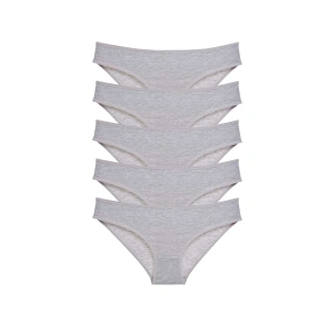 5 adet Süper Eko Set Likralı Kadın Slip Külot Gri