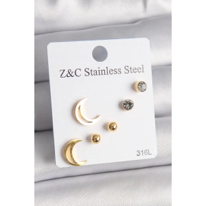 BFS 316L Çelik Gold Renk Zirkon Taşlı Hilal Model Kadın Küpe Seti