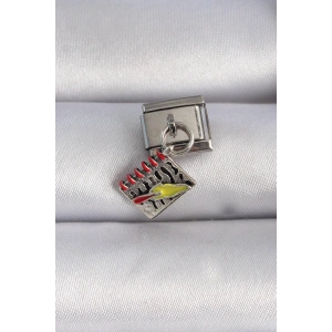 BFS 316L Çelik Gümüş Renk Sallantı Defter Figür Nomination Charm