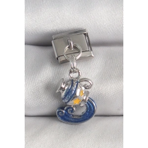 BFS 316L Çelik Gümüş Renk Sallantı Kova Burç Model Nomination Charm