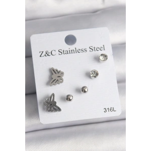 BFS 316L Çelik Gümüş Renk Zirkon Taşlı Kelebek Model Kadın Küpe Seti