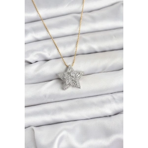 BFS 316L Çelik Zincir Gold Renk Zincirli Gümüş Yıldız Model Kadın Kolye