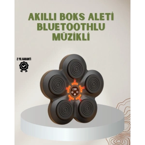 BFS Bluetoothlu Akıllı Boks Antrenman Cihazı Işıklı Hedefli Kardiyo ve Fitness Aleti