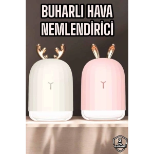 BFS Hava Nemlendirici Aromaterapi Hava Temizleyici Renk Değiştirebilen