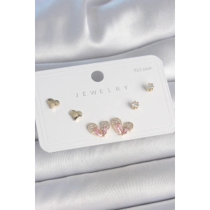 BFS Pirinç Gold Renk Pembe Zirkon Taşlı Kalp Model 925 Ayar Gümüş Çivi Kadın Küpe Seti
