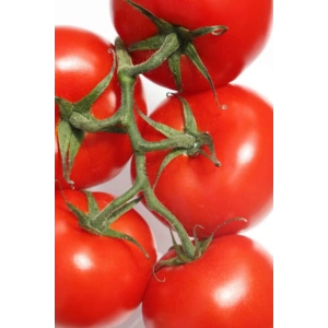 Domates Tohumu Falcon 5 Gr