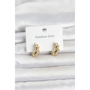 Mey İthalat® 316L Çelik Gold Renk Halka Model Kadın Küpe
