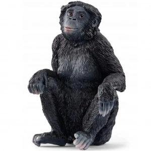 Mey İthalat® Bonobo