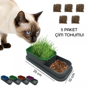 Mey İthalat® Topraksız Kedi Çimi Kabı