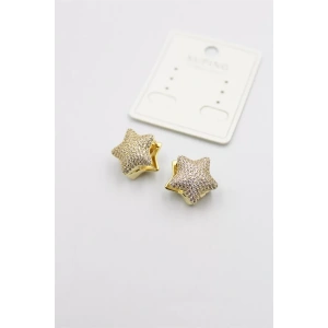 Taşlı Yıldız  Küpe - Altın