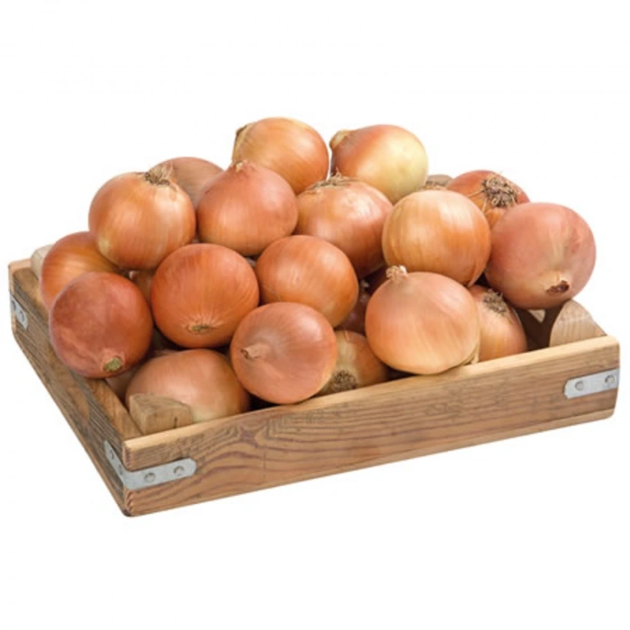 Soğan Kuru Dökme Kg