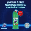 Domestos Dağ Esintisi 3x750 Ml