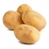 Patates Kg