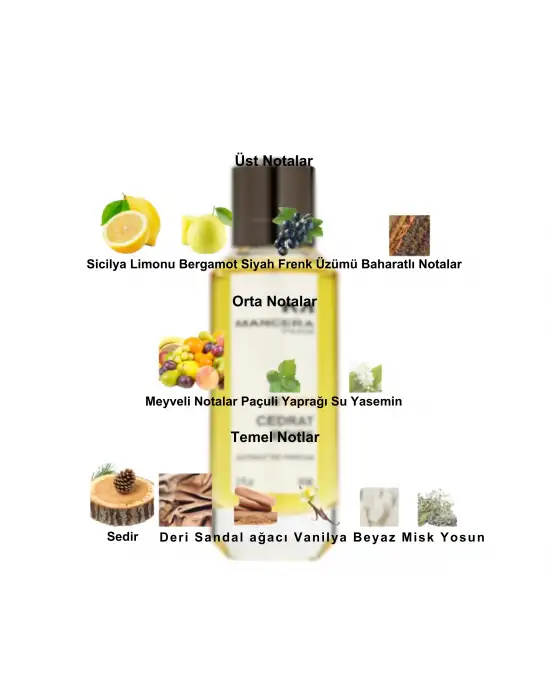 Dekant Mutfağı Perfume Cedrat Boise