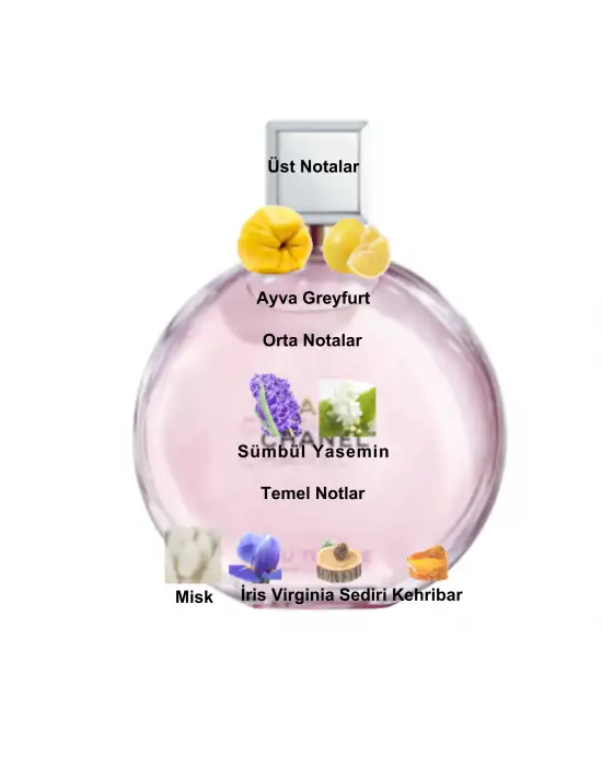 Dekant Mutfağı Chance Extrait Kadın 10ml Parfüm