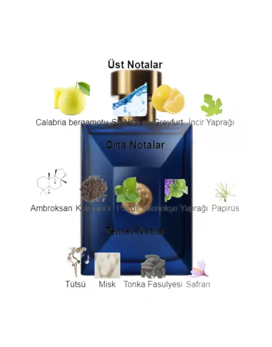 Dekant Mutfağı Perfume Dylan Blue