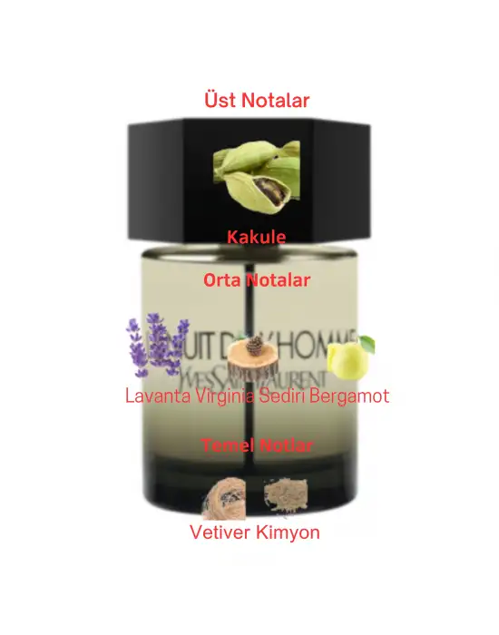 Dekant Mutfağı Perfume La Nuit De L Homme