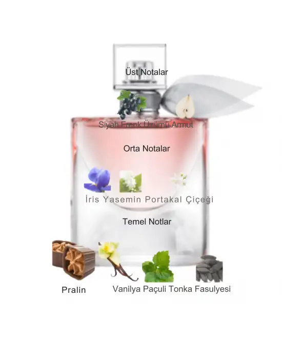 Dekant Mutfağı Perfume La Vie Est Belle