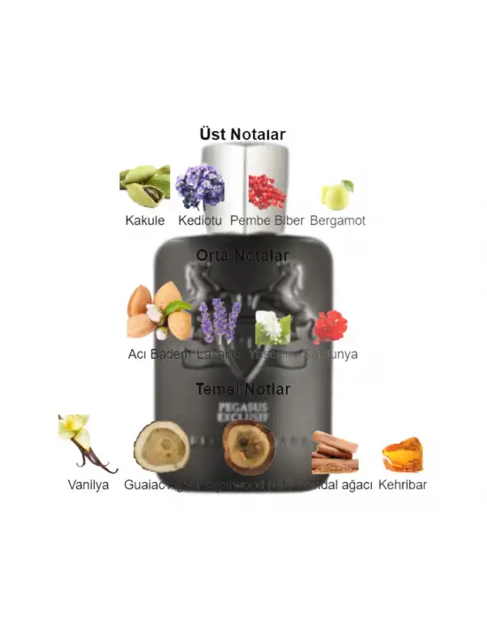 Dekant Mutfağı Perfume Pegasus Exclusif