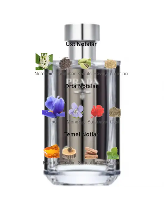 Dekant Mutfağı PRD LHomme Erkek 10ml Parfüm