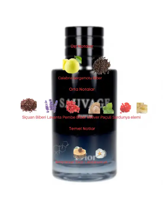 Dekant Mutfağı Sauvage Erkek 10ml Parfüm