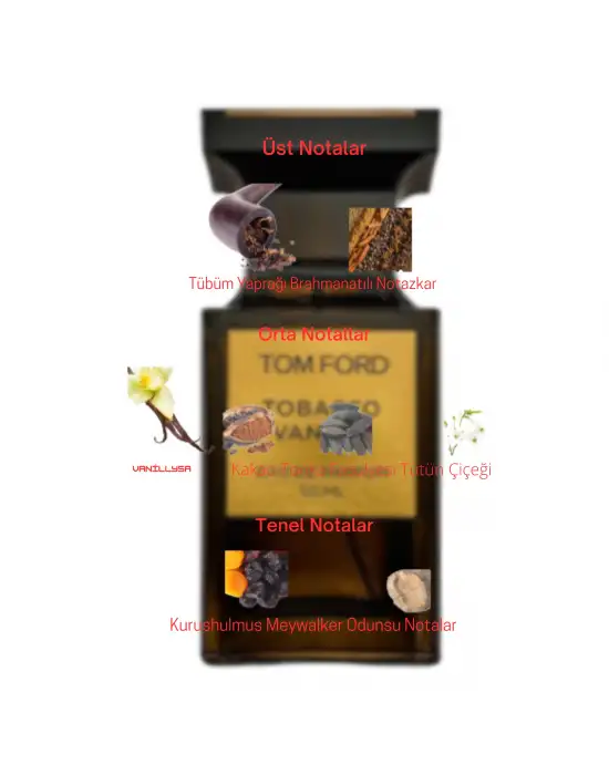 Dekant Mutfağı Perfume Tobacco Vanille