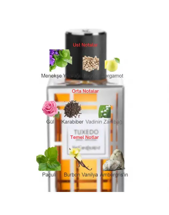 Dekant Mutfağı Perfume Tuxedo