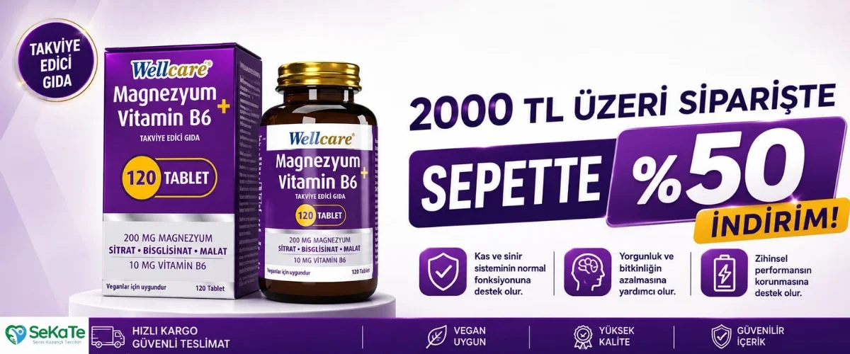 wellcare magnezyum 120 tablet
