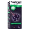 SambucolPlus Şekersiz C Vitamini + Çinko Takviye Edici Gıda 120 ml