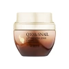 BRANIG Yoğun Sıkılaştırıcı Yaşlanma Karşıtı Q10&snail Lifting Vitalizing Kore Cilt Bakım Kremi