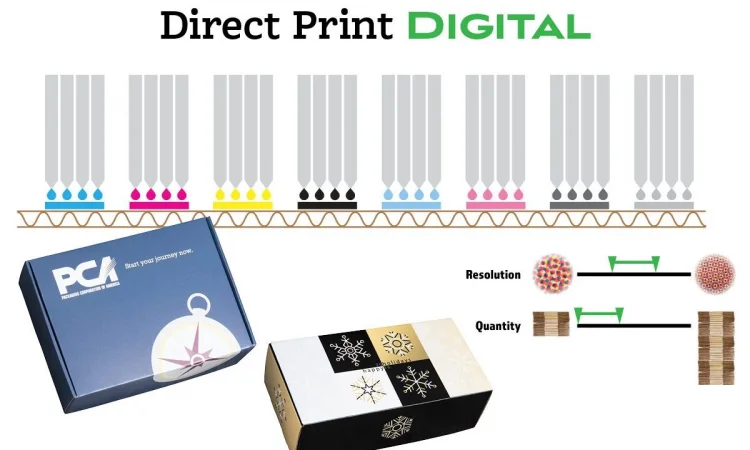 Etiket Kullanmadan Ambalaja Doğrudan Baskı: Avantajlar, Farklar ve Faydalar
