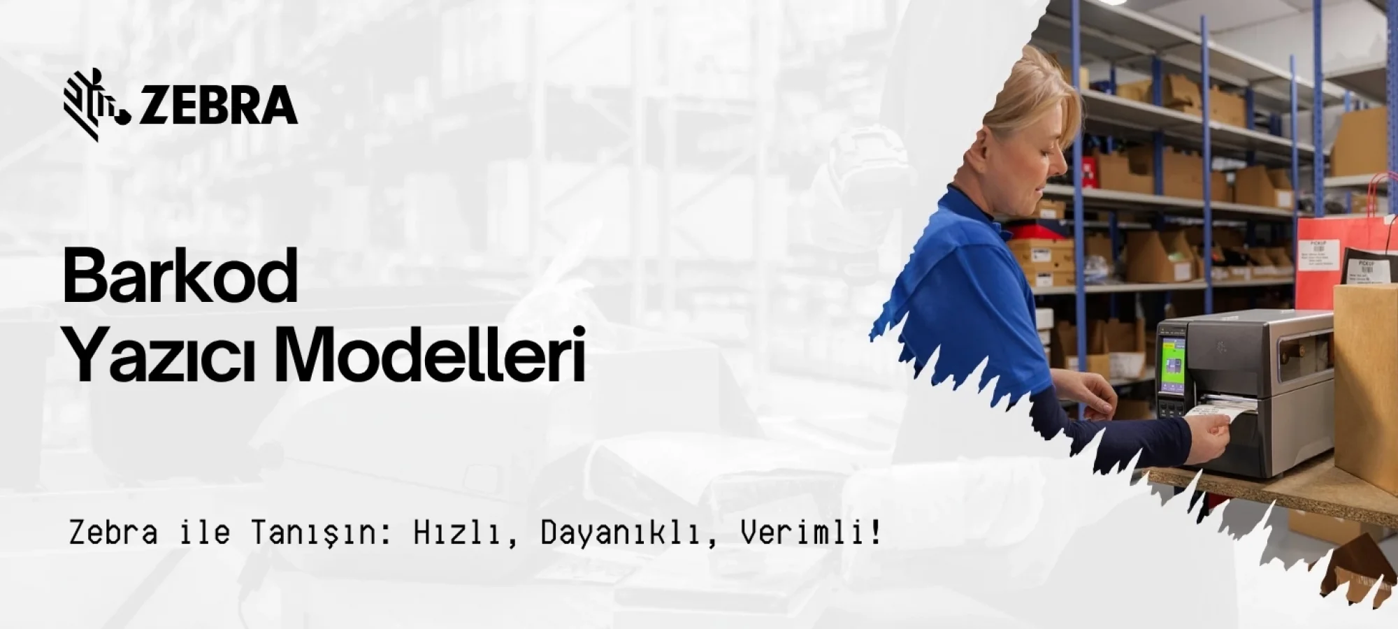 Zebra Yazıcı Modelleri