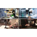 DATALOGIC QuickScan QW2520 El/Masa Tipi 1D / 2D VGA Imager Kablolu Barkod Okuyucu USB Stand, Siyah (Kit Tarayıcı, USB Kablosu 90A052258 ve Stand STD-QW25-BK içerir)