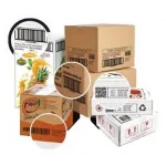 Motiva KR 2 Renkli 1200 Dpi Otomatik Tabaka Besleme Konveyörlü İnk Jet Doğrudan Markalama Kodlama Ambalaja Baskı Yazıcı