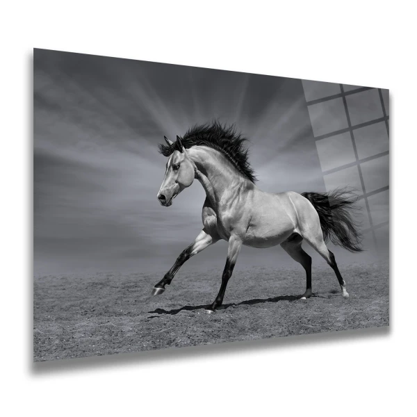 LightArt Siyah Beyaz Şahlanan At Cam Tablo