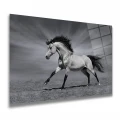 LightArt Siyah Beyaz Şahlanan At Cam Tablo