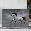 LightArt Siyah Beyaz Şahlanan At Cam Tablo