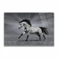 LightArt Siyah Beyaz Şahlanan At Cam Tablo