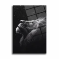 Siyah Beyaz Arslan Portresi Cam Tablo