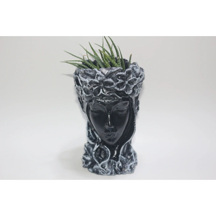 Tedi Sanat Hovartia Kraliçe Büst Saksı