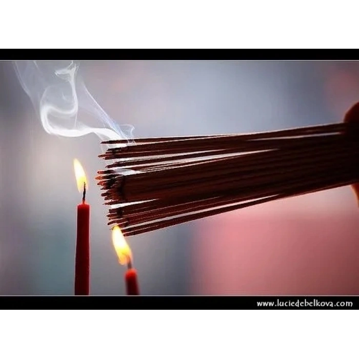 Tedi Sanat Mantar Ev (10 adet TÜTSÜ HEDİYELİ)Geri Akış Şelale Tütsülük Buhurdanlık Metalik