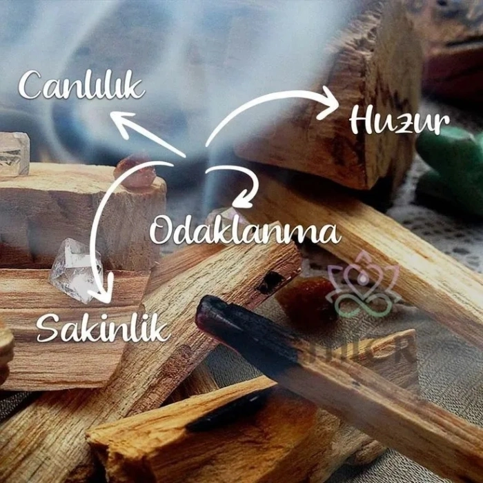 Tedi Sanat Mantar Ev Geri Akış Şelale Tütsülük 10 Adet Tütsü Hediyeli