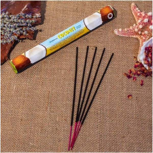 Darshan International Coconut (Hindistan Cevizi) Hexa 20li Çubuk Tütsü (1 Saate Kadar Yanma Süresi)