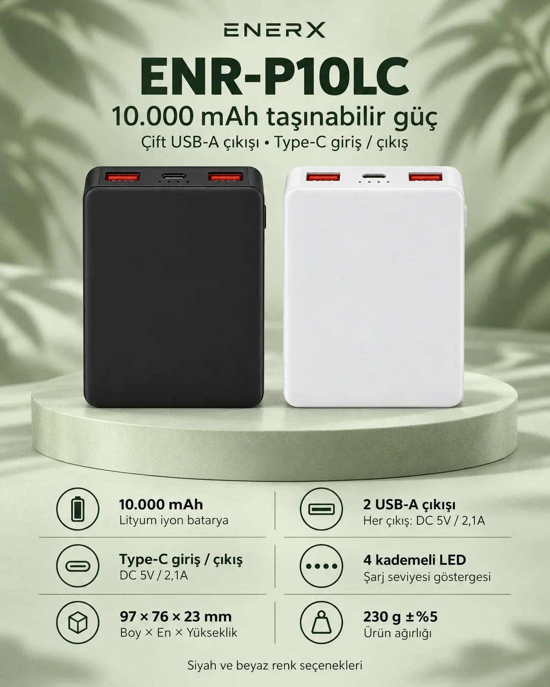 eNeRX ENR-P10LC mockup