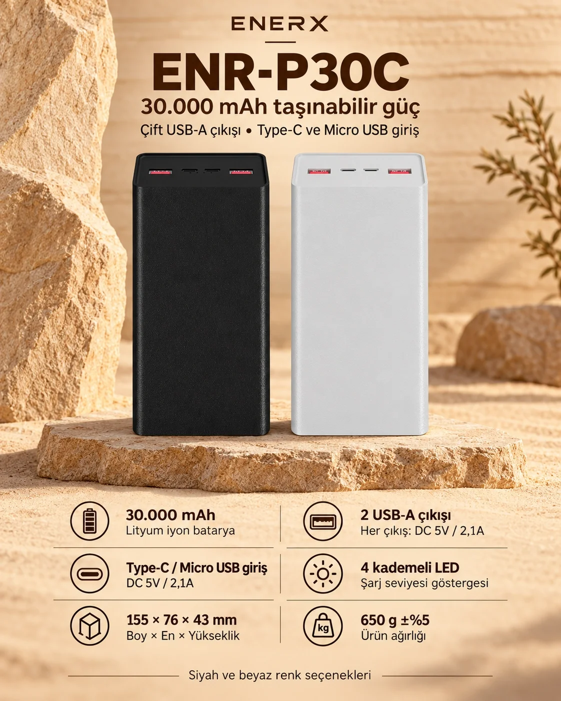 eNeRX ENR-P30C mockup 1