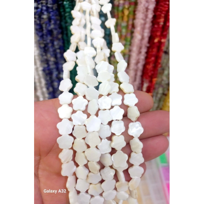 Çiçek Şekilli Sedefler