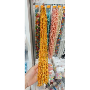 Balkabağı Turuncu Diş Mercan, 1 dizi