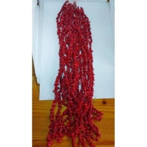 Koyu Kırmızı Diş Mercan