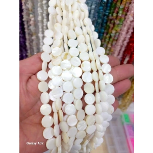 Yuvarlak Yassı Sedefler